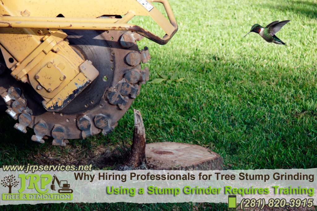 We provide stump removal!