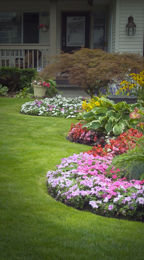 JRPservices-PageImage-landscaping-5b6cafd7969ae